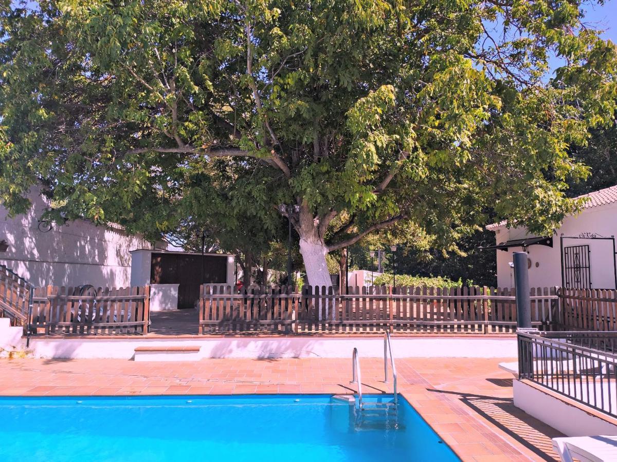 Complejo Apartamentos Rurales Molino De Abajo Ribera Baja  Εξωτερικό φωτογραφία