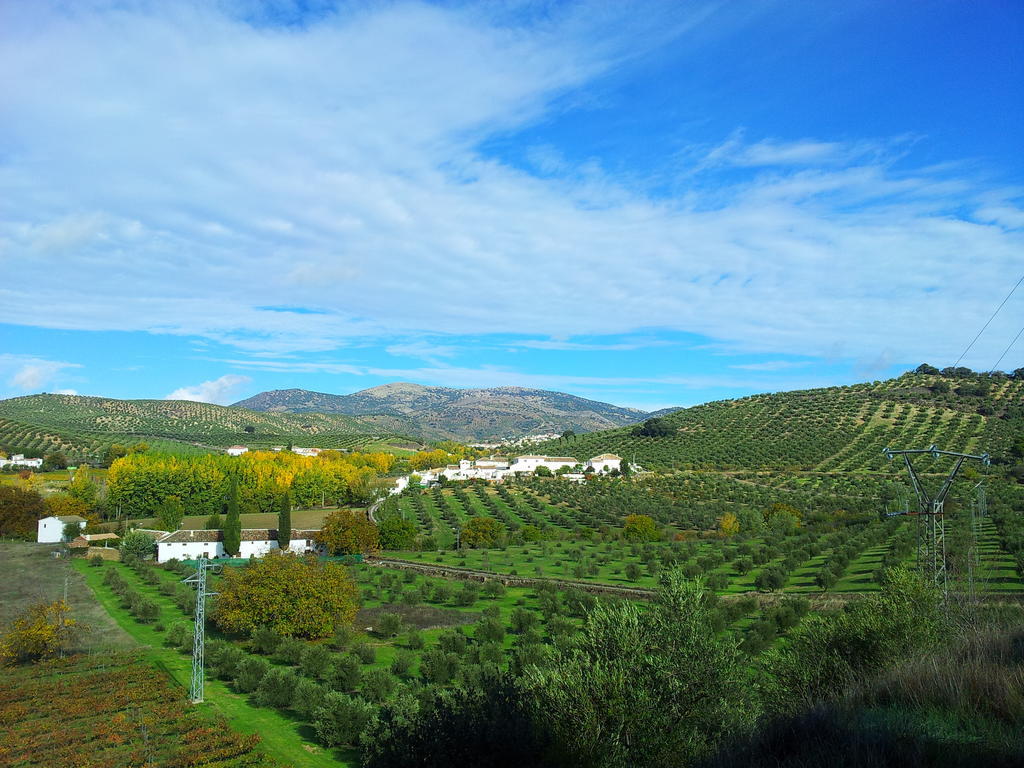 Complejo Apartamentos Rurales Molino De Abajo Ribera Baja  Εξωτερικό φωτογραφία