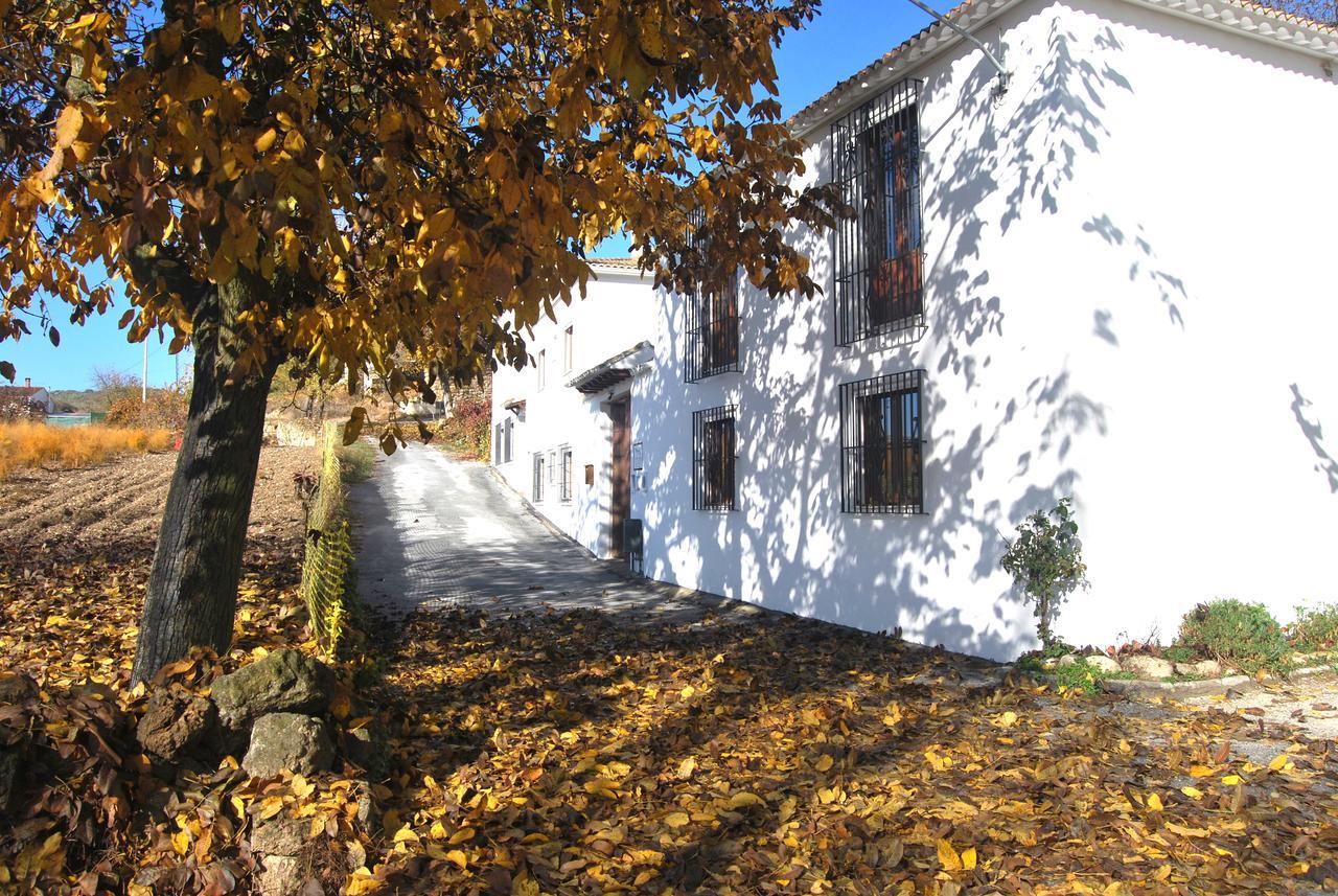 Complejo Apartamentos Rurales Molino De Abajo Ribera Baja  Εξωτερικό φωτογραφία
