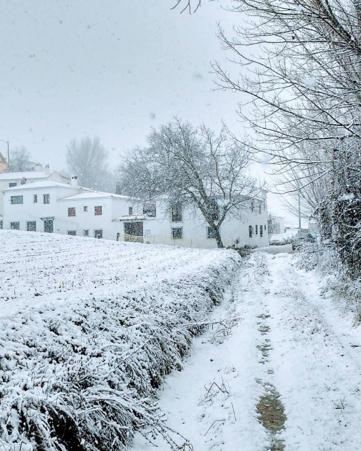 Complejo Apartamentos Rurales Molino De Abajo Ribera Baja  Εξωτερικό φωτογραφία