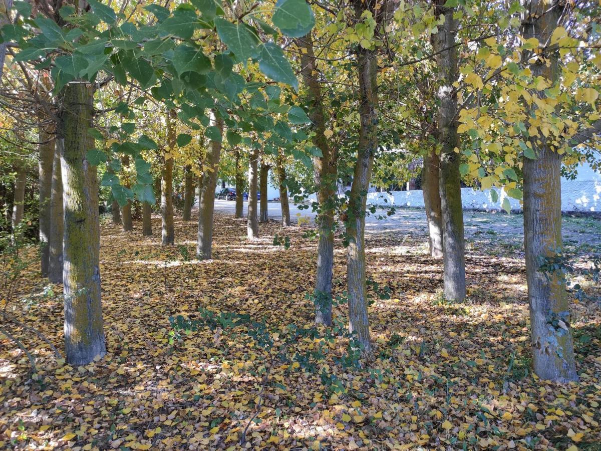 Complejo Apartamentos Rurales Molino De Abajo Ribera Baja  Εξωτερικό φωτογραφία