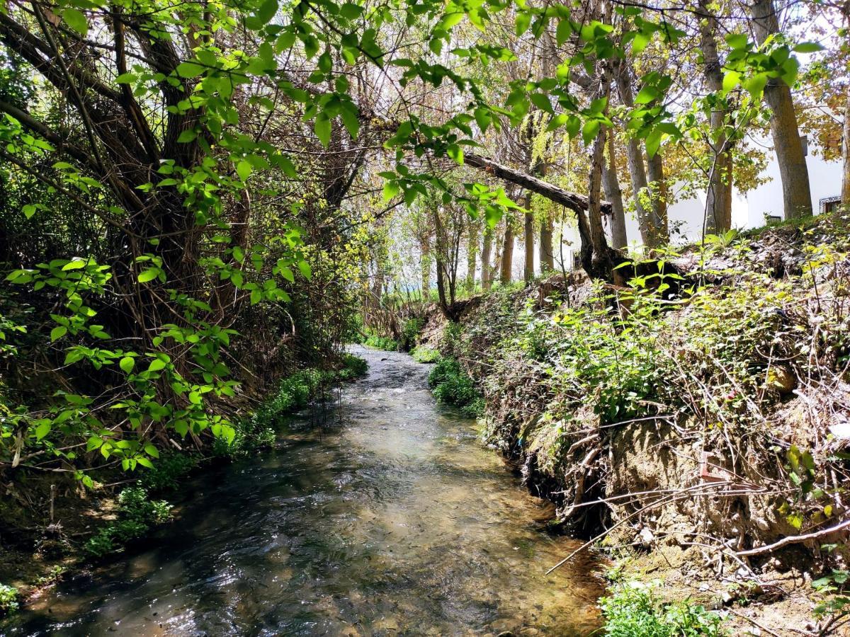 Complejo Apartamentos Rurales Molino De Abajo Ribera Baja  Εξωτερικό φωτογραφία